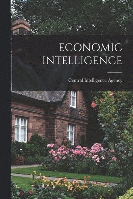 bokomslag Economic Intelligence