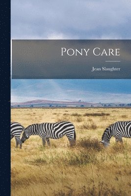 Pony Care 1