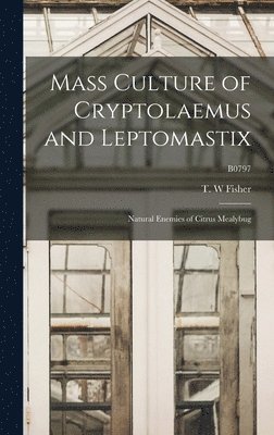 bokomslag Mass Culture of Cryptolaemus and Leptomastix