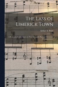 bokomslag Lass of Limerick Town