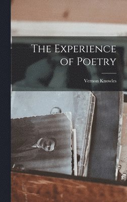 bokomslag The Experience of Poetry