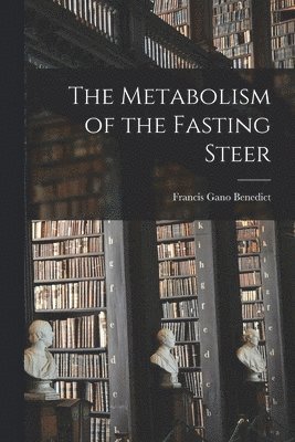 The Metabolism of the Fasting Steer 1