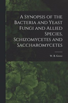 bokomslag A Synopsis of the Bacteria and Yeast Fungi and Allied Species, Schizomycetes and Saccharomycetes