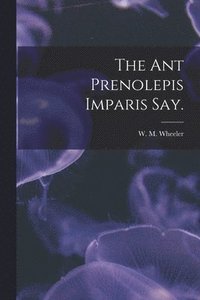 bokomslag The Ant Prenolepis Imparis Say.