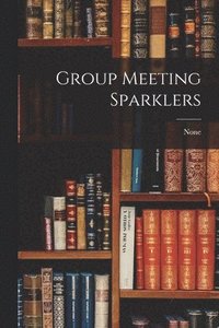 bokomslag Group Meeting Sparklers