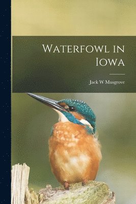 bokomslag Waterfowl in Iowa