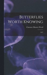 bokomslag Butterflies Worth Knowing