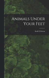 bokomslag Animals Under Your Feet