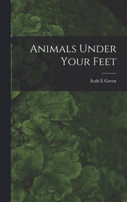 Animals Under Your Feet 1