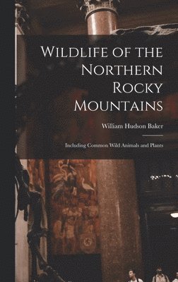 bokomslag Wildlife of the Northern Rocky Mountains