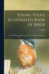 bokomslag Young Folk's Illustrated Book of Birds