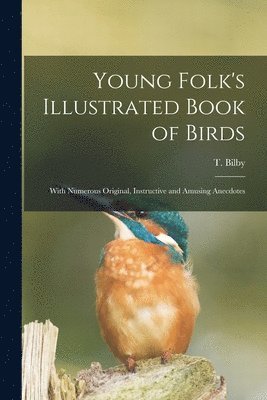 Young Folk's Illustrated Book of Birds 1