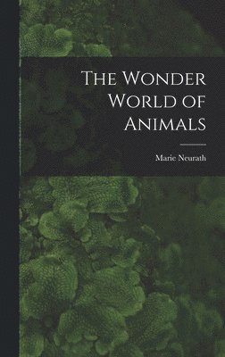 The Wonder World of Animals 1