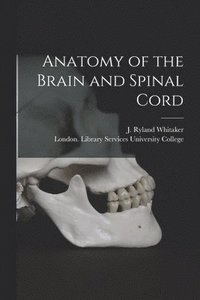 bokomslag Anatomy of the Brain and Spinal Cord [electronic Resource]