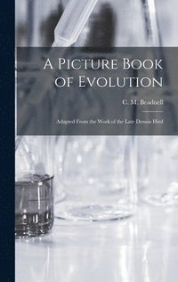 bokomslag A Picture Book of Evolution: Adapted From the Work of the Late Dennis Hird