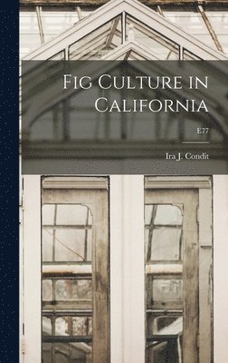 Fig Culture in California; E77 1