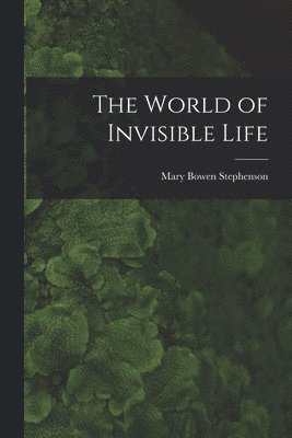 The World of Invisible Life 1