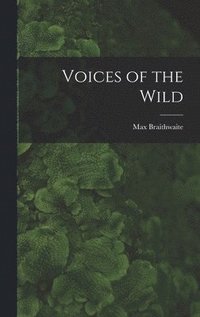 bokomslag Voices of the Wild