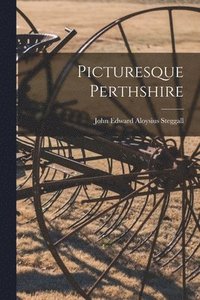 bokomslag Picturesque Perthshire