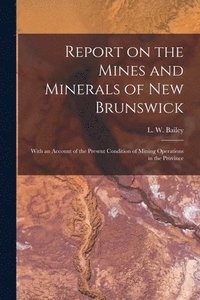 bokomslag Report on the Mines and Minerals of New Brunswick [microform]