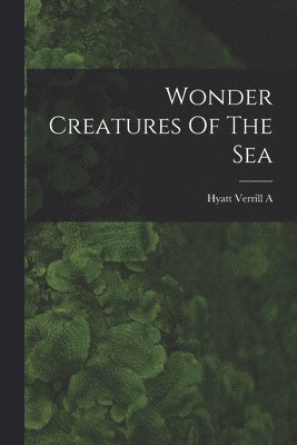 Wonder Creatures Of The Sea 1