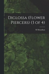 bokomslag Diglossa (Flower Piercers) (3 of 4)