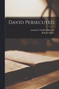 bokomslag David Persecuted