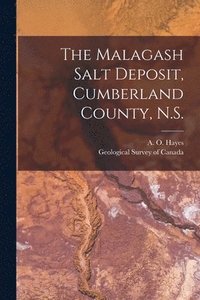 bokomslag The Malagash Salt Deposit, Cumberland County, N.S. [microform]
