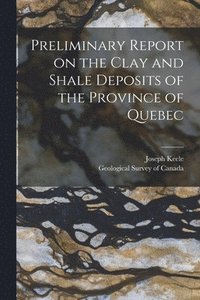 bokomslag Preliminary Report on the Clay and Shale Deposits of the Province of Quebec [microform]