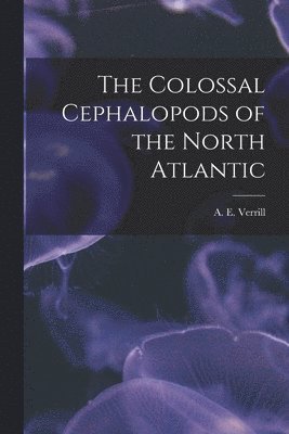 bokomslag The Colossal Cephalopods of the North Atlantic [microform]