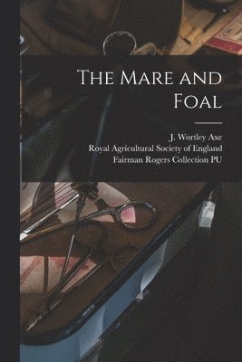 bokomslag Mare and Foal
