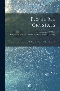 bokomslag Fossil Ice Crystals