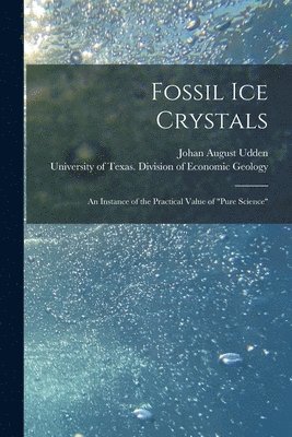 Fossil Ice Crystals 1