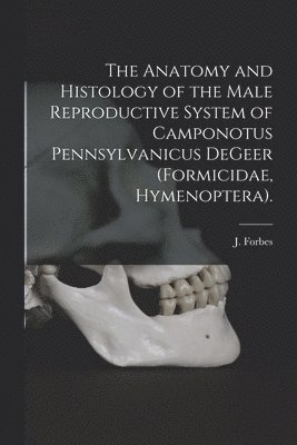 bokomslag The Anatomy and Histology of the Male Reproductive System of Camponotus Pennsylvanicus DeGeer (Formicidae, Hymenoptera).