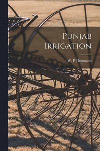 bokomslag Punjab Irrigation