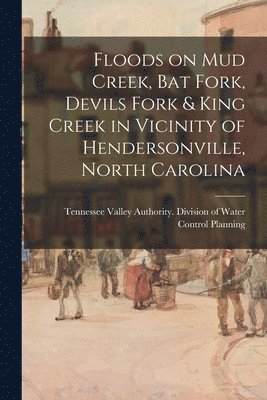 bokomslag Floods on Mud Creek, Bat Fork, Devils Fork & King Creek in Vicinity of Hendersonville, North Carolina