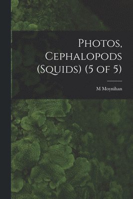 Photos, Cephalopods (Squids) (5 of 5) 1