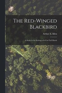 bokomslag The Red-winged Blackbird