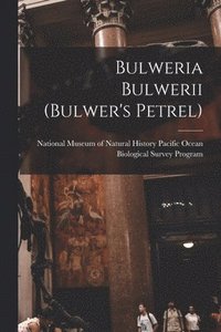 bokomslag Bulweria Bulwerii (Bulwer's Petrel)