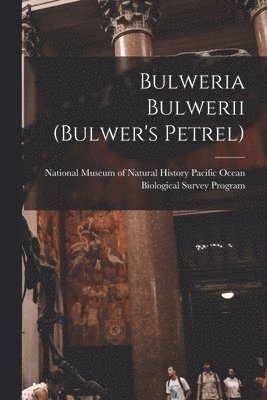 bokomslag Bulweria Bulwerii (Bulwer's Petrel)
