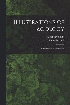 bokomslag Illustrations of Zoology