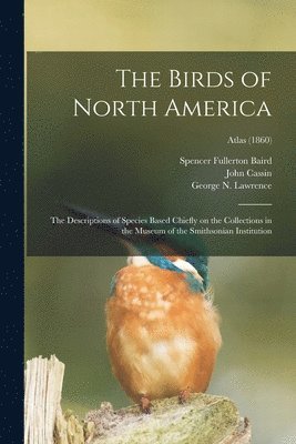 bokomslag The Birds of North America