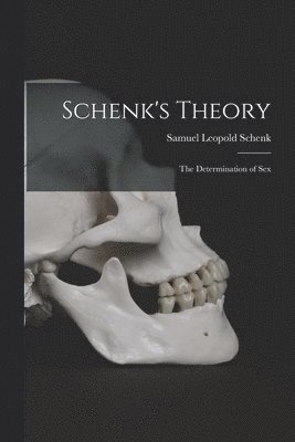 bokomslag Schenk's Theory