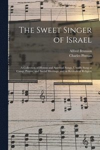 bokomslag Sweet Singer of Israel