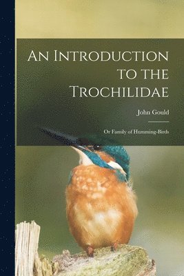 bokomslag An Introduction to the Trochilidae