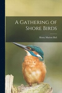 bokomslag A Gathering of Shore Birds