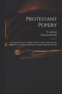 bokomslag Protestant Popery