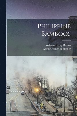 William Henry 1884- Brown, Arthur Frederick Fischer, William Henry Brown - Philippine Bamboos, Häftad