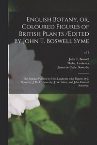bokomslag English Botany, or, Coloured Figures of British Plants /edited by John T. Boswell Syme; the Popular Portion by Mrs. Lankester; the Figures by J. Sowerby, J. De C. Sowerby, J. W. Salter, and John