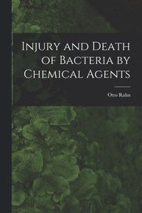 bokomslag Injury and Death of Bacteria by Chemical Agents